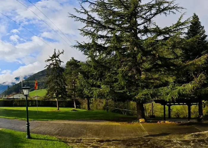 El Nial De Pinos * Ojedo